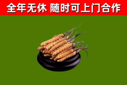 铁东区回收冬虫夏草